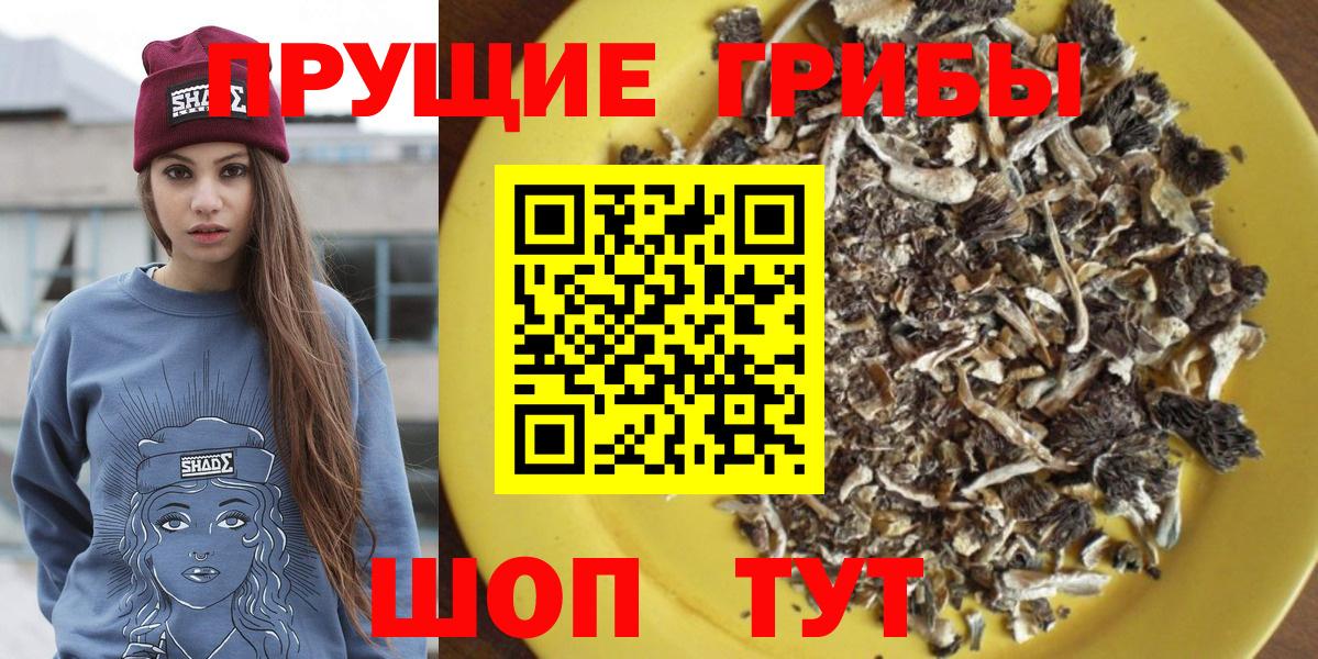 Менделеевск  дарнет шоп  Вход с VPN  Галлюциногенные грибы Psilocybe 